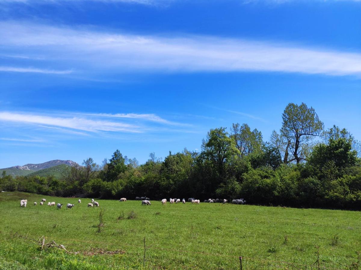 Velebit Lodge Lovinac  外观 照片
